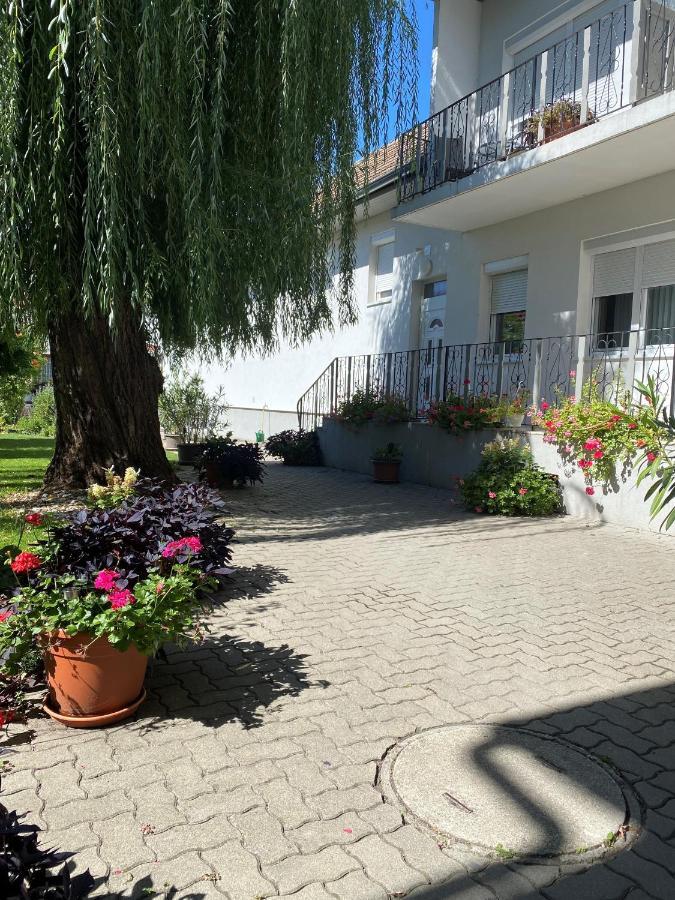 Gaestehaus & Weingut Klein Illmitz Eksteriør bilde